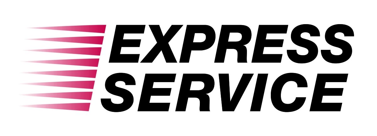 Nissan Express Service