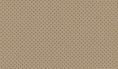 Altima Vestiduras Beige